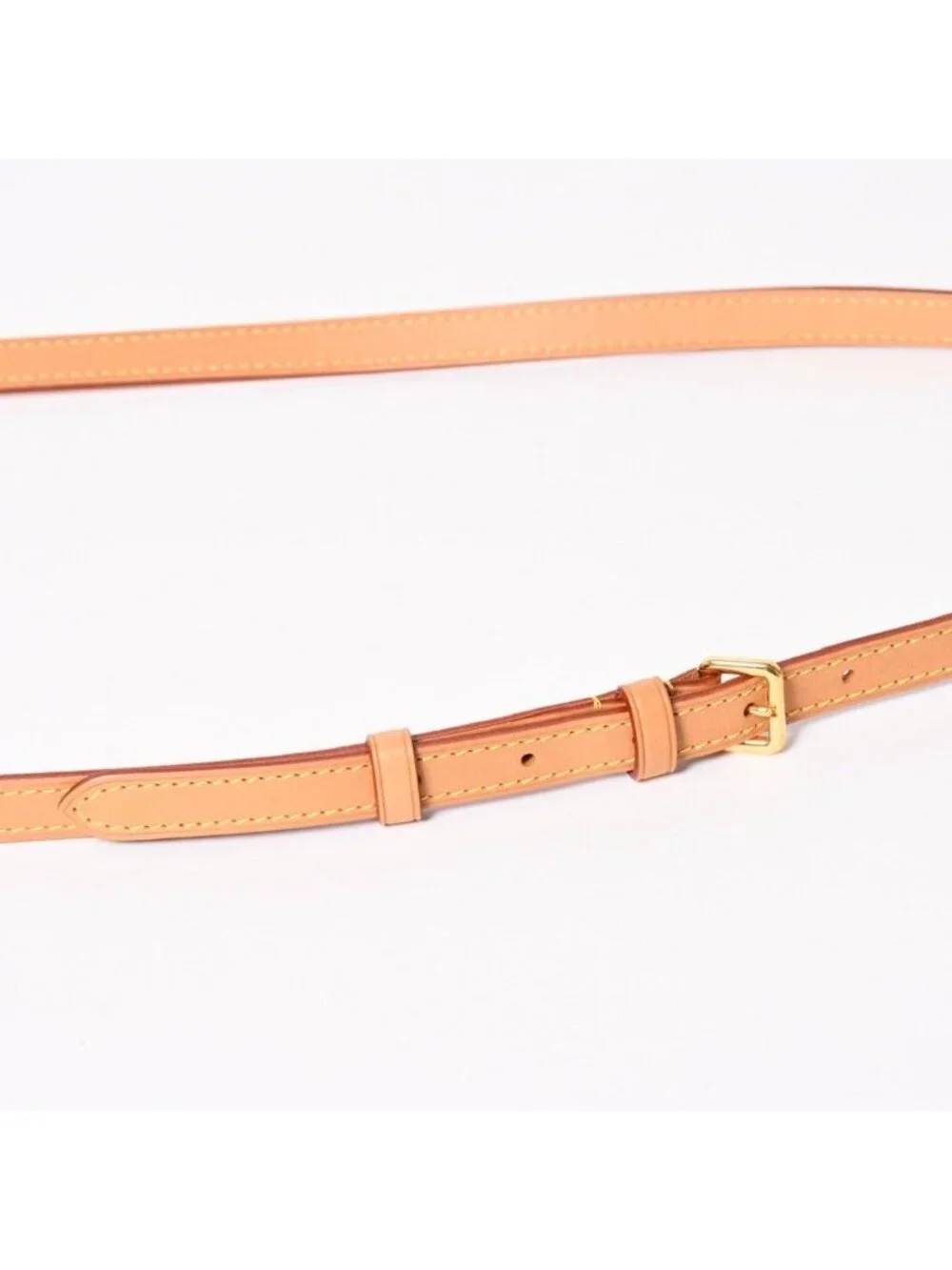 Louis Vuitton Cannes Vanity Monogram Giant Brown Reverse Shoulder Bag